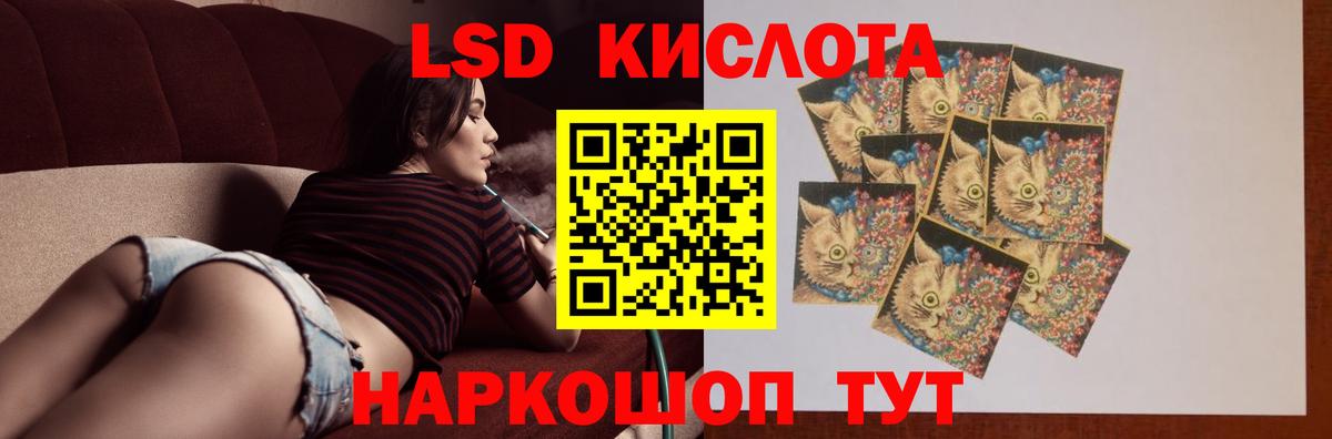 Альфа ПВП Сочи